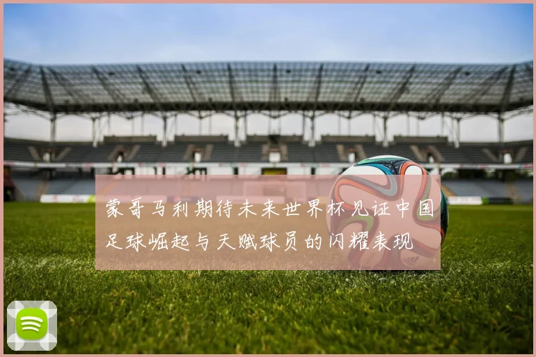 蒙哥马利期待未来世界杯见证中国足球崛起与天赋球员的闪耀表现