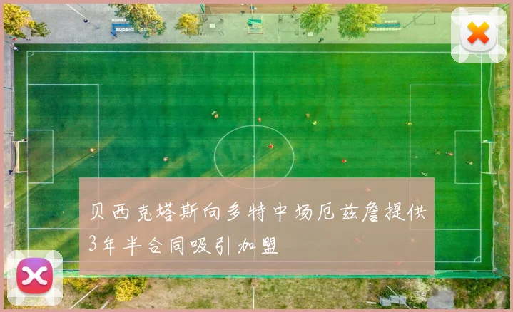 贝西克塔斯向多特中场厄兹詹提供3年半合同吸引加盟